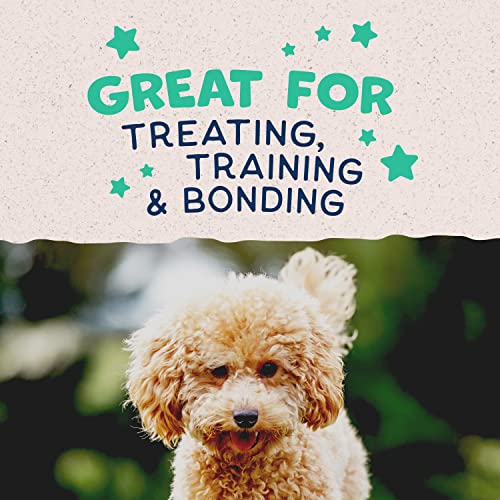 Natural Balance Mini-Rewards Chicken Grain-Free Dog Treats - Image 5