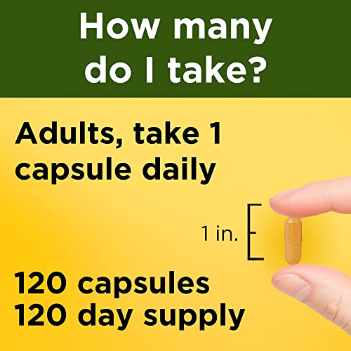 Nature Made Turmeric Curcumin 500 Mg, Herbal Supplement - Image 4