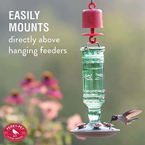 Perky-Pet Ant Guard For Hummingbird Feeders, 4 Pack - Image 5