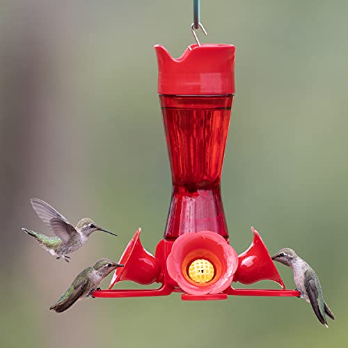 Perky-Pet Pinchwaist Hummingbird Feeder, Red Glass - Image 2