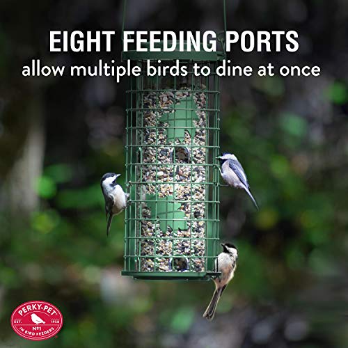 Perky-Pet Squirrel Stumper Wild Bird Feeder 114G - Image 5