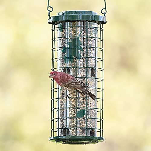 Perky-Pet Squirrel Stumper Wild Bird Feeder 114G - Image 2