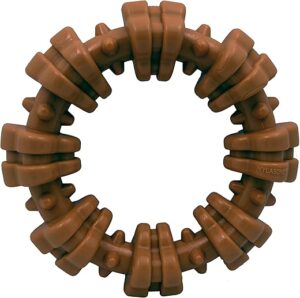 Nylabone Power Chew Textured Dog Ring Toy, X-Large
