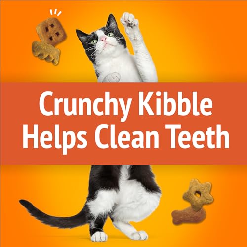 Purina Friskies Cat Treats, Party Mix Original - Image 4