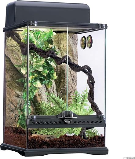 Exo Terra Rainforest Habitat Kit, Glass PT2602 - Small