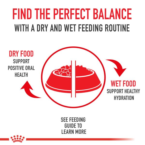 Royal Canin Adult Cat Instinctive Chunks In Gravy - Image 5