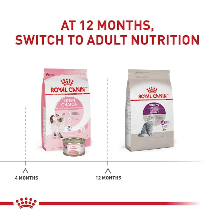 Royal Canin Sensitive Digestion Cat Food, Dry Formula, 7 lb - Image 3
