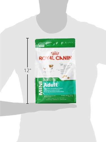 Royal Canin Small Breed Adult Dry Dog Food - Image 3