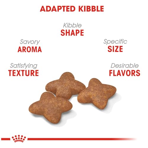 Royal Canin Small Breed Adult Dry Dog Food - Image 2