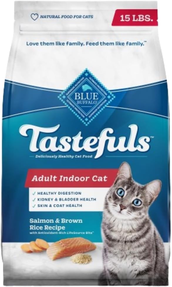 Blue Buffalo Salmon & Brown Rice Dry Cat Food
