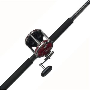 PENN Senator® Combo, Black/Smoke/Red, 6’6″- Medium Heavy