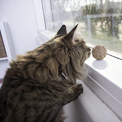 SmartyKat Catnip Kiss Compressed Catnip Ball Toy - Image 4