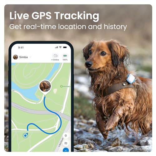 tractive GPS Tracker & Health Monitor for Dogs - Image 2