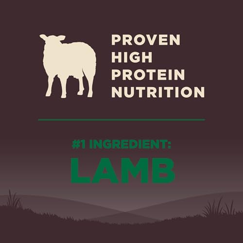 Wellness Core Natural Grain Free Dog Food - Image 4