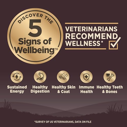Wellness Core Natural Grain Free Dog Food - Image 2