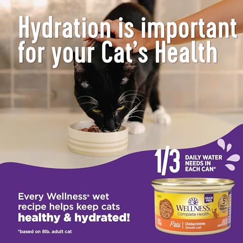 Wellness Grain-Free Chicken Entrée Kitten Food - Image 4