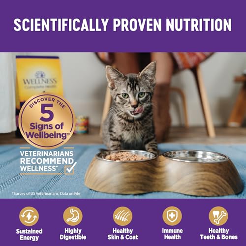 Wellness Grain-Free Chicken Entrée Kitten Food - Image 5