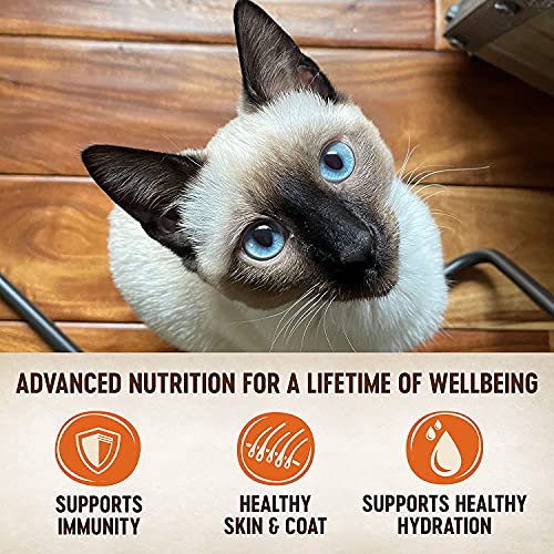 Wellness Premium Canned Cat Food Variety Pack - Image 4