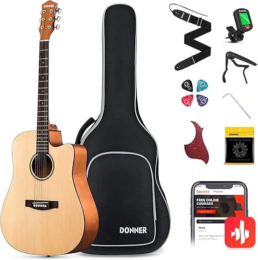 Donner Acoustic Guitar Kit For Beginners