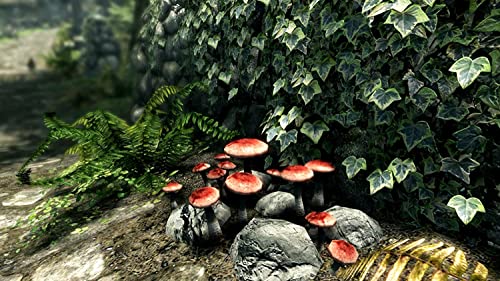 Skyrim: Special Edition - Image 3