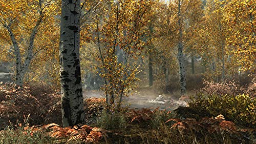 Skyrim: Special Edition - Image 4
