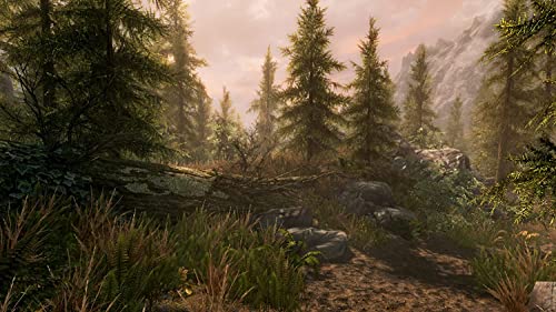 Skyrim: Special Edition - Image 2