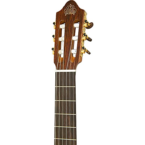 Clutch Kremona Fiesta FC Guitar Bundle - Image 5