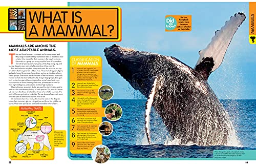 National Geographic Kids Animal Encyclopedia By National Geographic Kids - Image 2