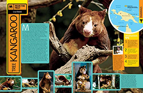 National Geographic Kids Animal Encyclopedia By National Geographic Kids - Image 3