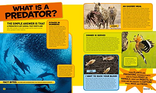 National Geographic Kids Everything Predators: All The Photos, Facts, And Fun You Can Sink Your Teeth Into By National Geographic Kids - Image 2