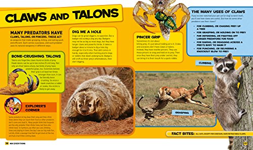 National Geographic Kids Everything Predators: All The Photos, Facts, And Fun You Can Sink Your Teeth Into By National Geographic Kids - Image 3