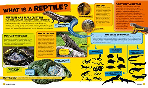National Geographic Kids Everything Reptiles: Snap Up All the Photos, Facts, and Fun by National Geographic Kids - Image 2