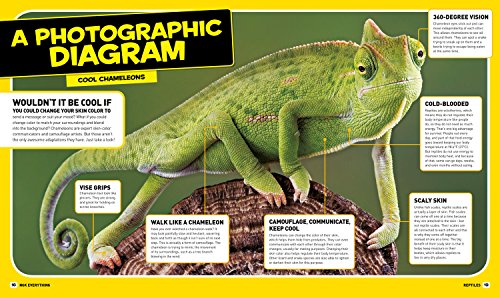 National Geographic Kids Everything Reptiles: Snap Up All the Photos, Facts, and Fun by National Geographic Kids - Image 3