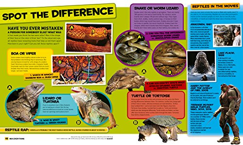 National Geographic Kids Everything Reptiles: Snap Up All the Photos, Facts, and Fun by National Geographic Kids - Image 4