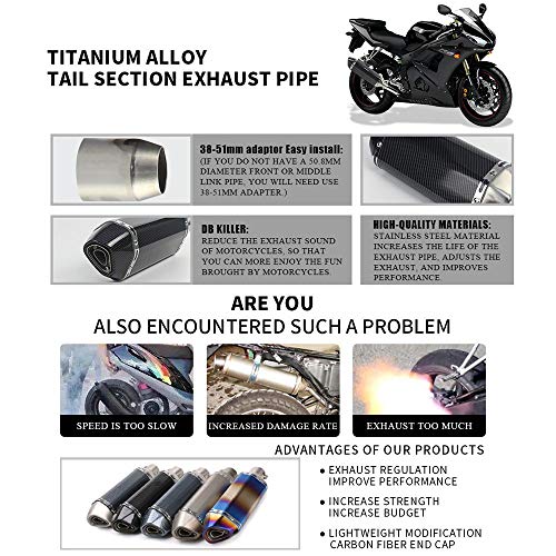 PACEWALKER Exhaust Muffler Carbon Fiber With DB Killer - Image 4