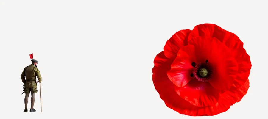 Remembrance Day Sales