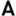 Acnestudios.com