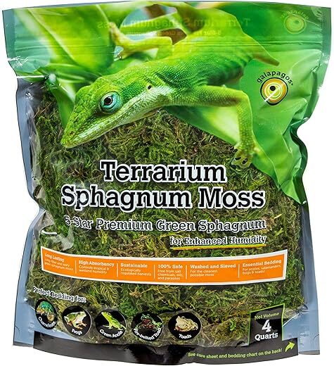 Galapagos 05213 Terrarium Green Sphagnum Moss
