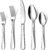 ENLOY 20 Piece Stainless Steel Silverware Set