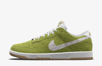 What You Should Know Before Buying Nike Dunks, New Models 2023