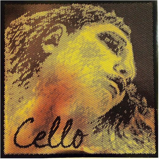 Pirastro Evah Pirazzi 4/4 Medium Cello String Set