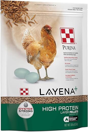 Purina High Protein Layer Chicken Feed (10 Pound)