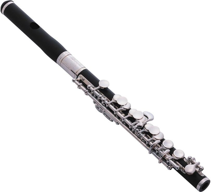 Jupiter Jupiter Piccolo Level 2 190839020567
