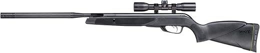 Gamo Whisper Air Rifle